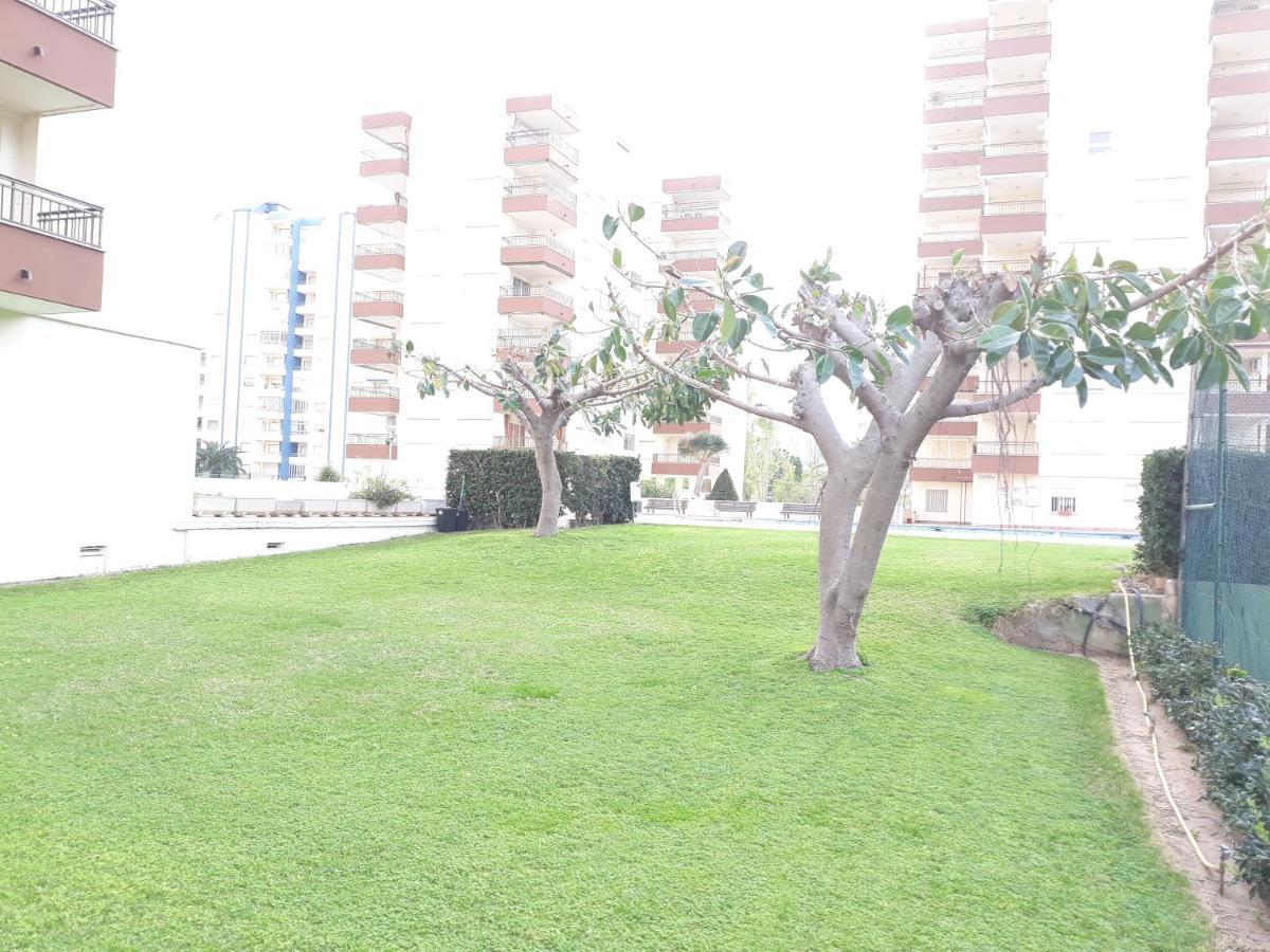 Valldigna 7 Playa De Gandia Solo Familias Екстер'єр фото
