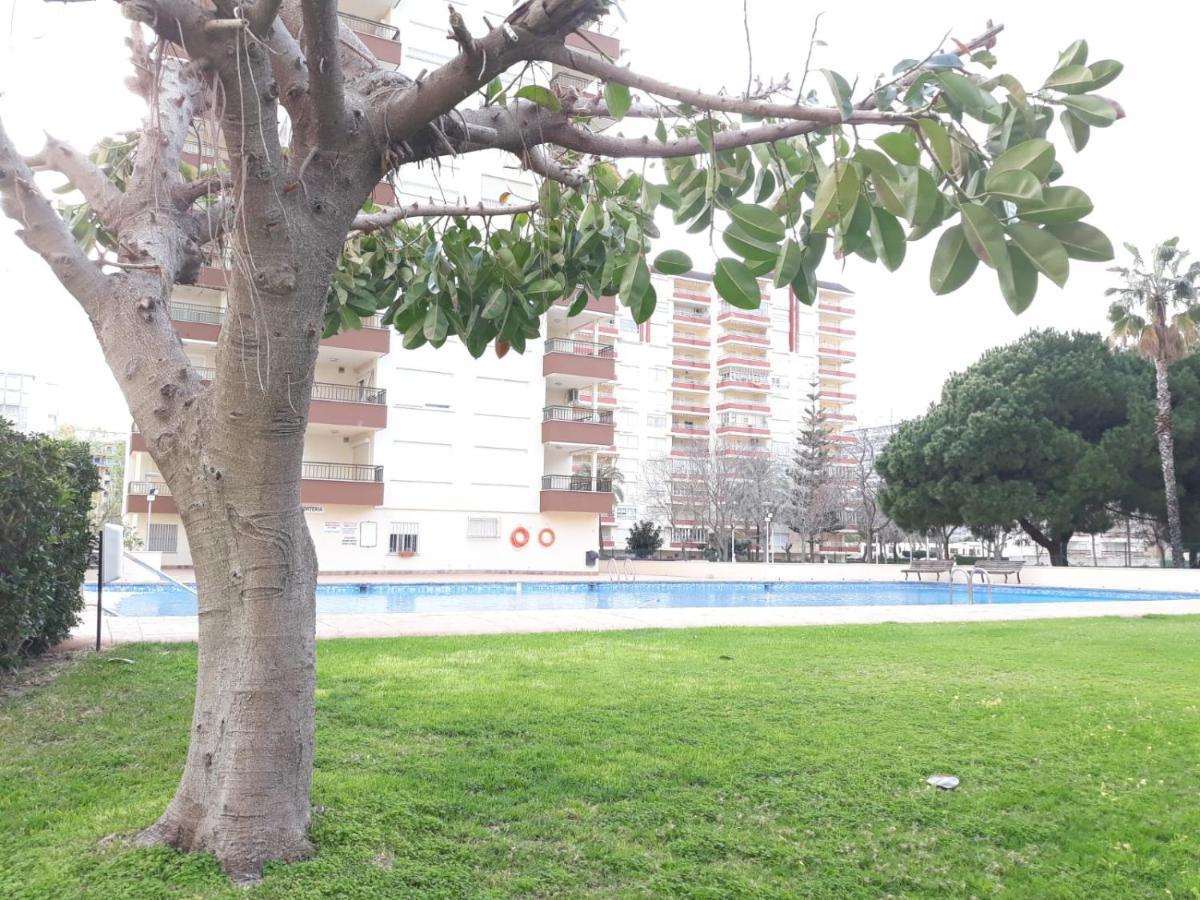 Valldigna 7 Playa De Gandia Solo Familias Екстер'єр фото